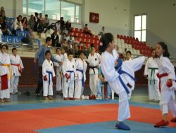 Karateciler Kongre Kupası için yarıştı